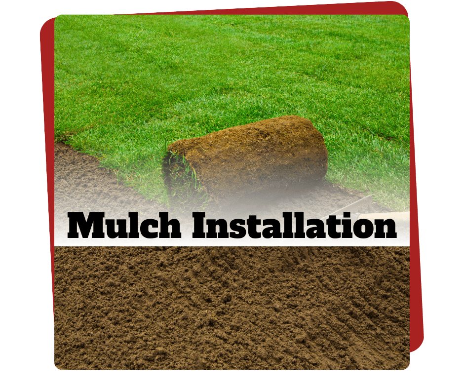 mulch installation